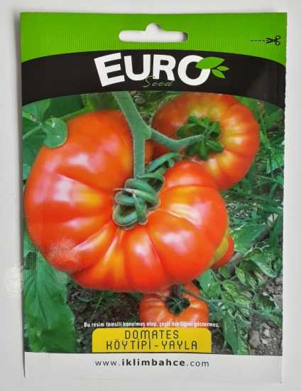  köy tipi domates  tohumu