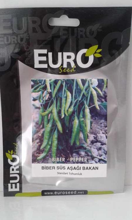 biber aşağı bakan.jpg