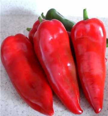 lord f1 biber tohumu