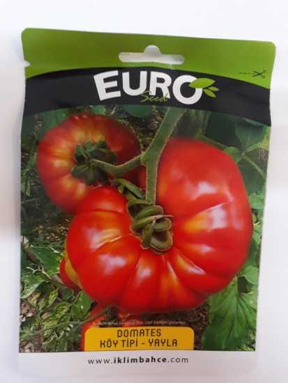 DOMATES KÖY TİPİ - YAYLA