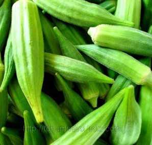bamya tohumu