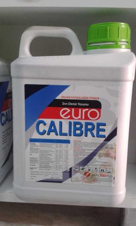 euro calıbre deniz yosunu 