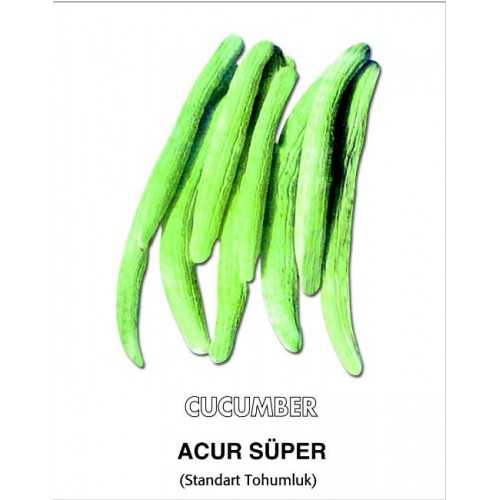 acur tohumu 25 gr
