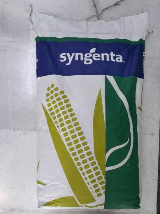 WhatsApp Image 2021-03-24 at 14.25.42.jpeg