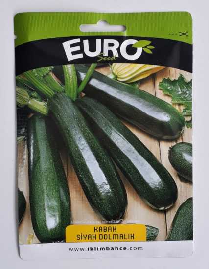 kabak siyah dolmalık tohumu