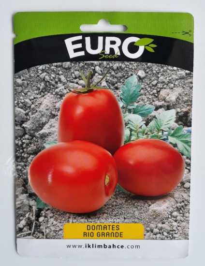 domates rio grande 