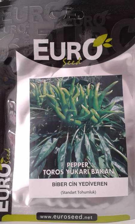 biber yukarı bakan.jpg