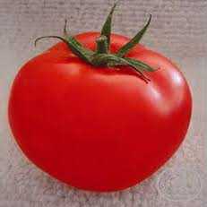 domates-h2274-1.jpg