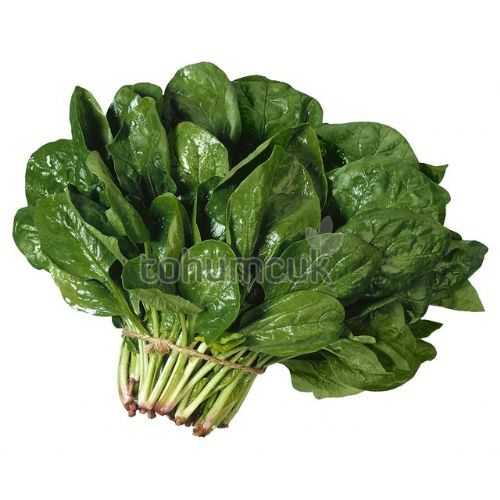 matador ıspanak tohumu