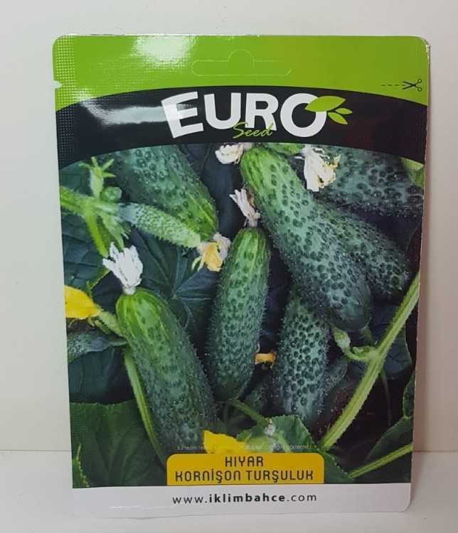 KORNİŞON TURŞULUKKKK.jpg