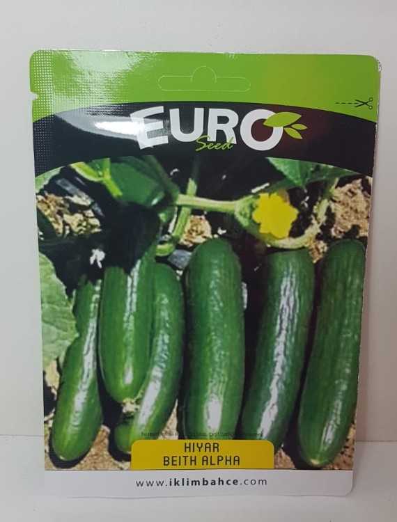 BEİTH ALPHAAAAAAAA.jpg