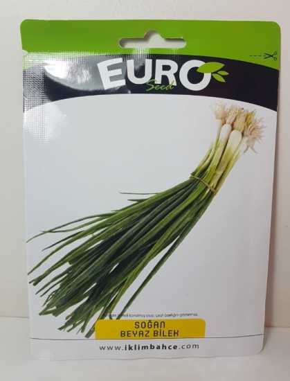 YEŞİL SOĞAN TOHUMU 