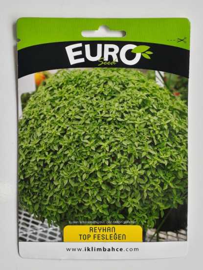 TOP FESLEĞEN TOHUMU