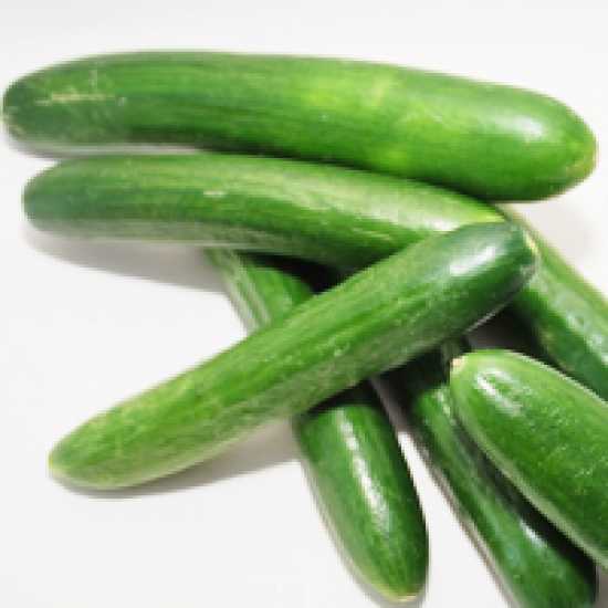 HAYEL F1 SALATALIK TOHUMU