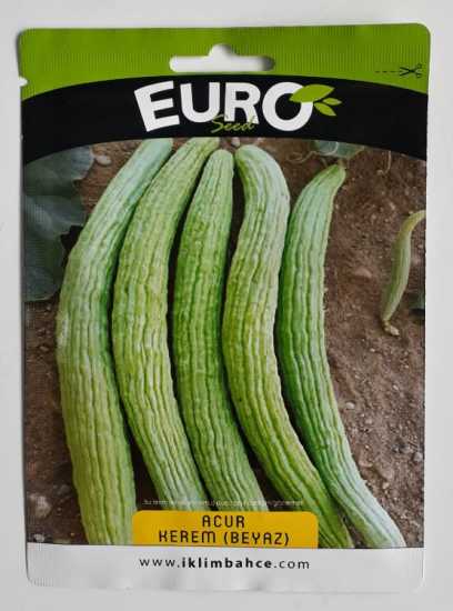 1101 ACUR TOHUMU 1PAKET