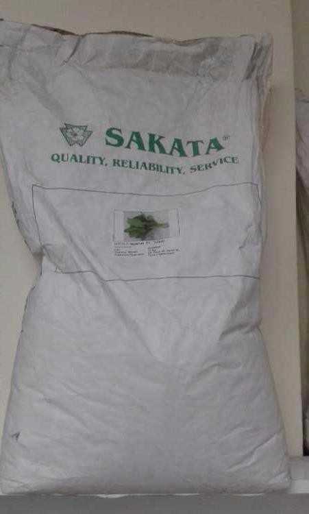 SAKATA F1 ISPANAK.jpg