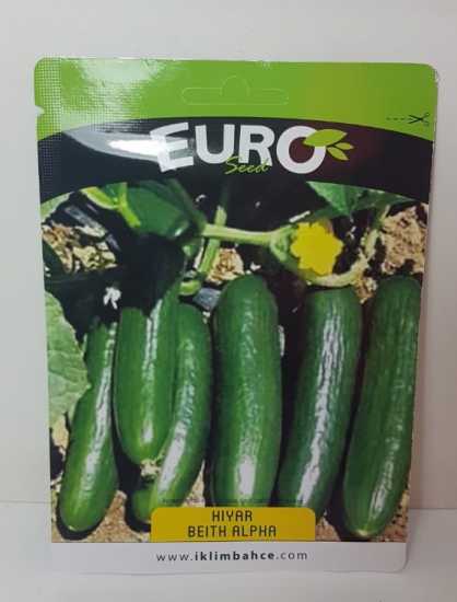 1134 HIYAR -BEİTH ALPHA- 1PAKET