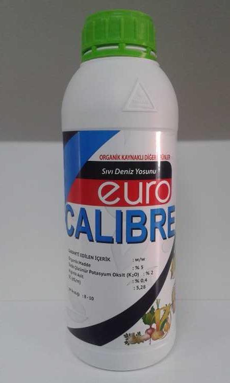 EURO CALİBRE 