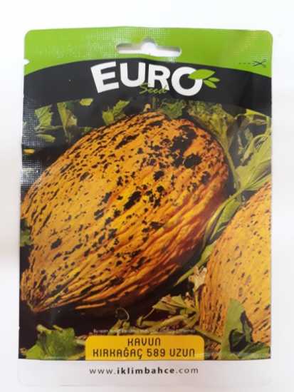 KAVUN KIRKAĞAÇ 589 UZUN