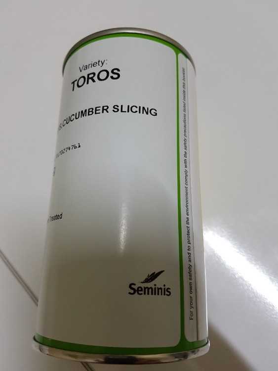 TOROS HIYAR 2.jpg