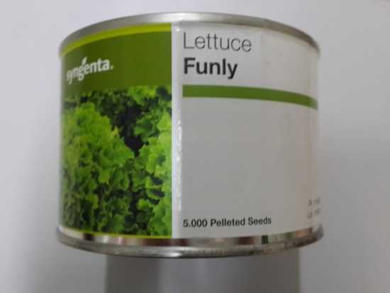 SYNGENTA - LETTUCE FUNLY - KAPLI MARUL TOHUM 5000