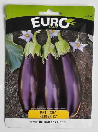 patlıcan kemer tohumu