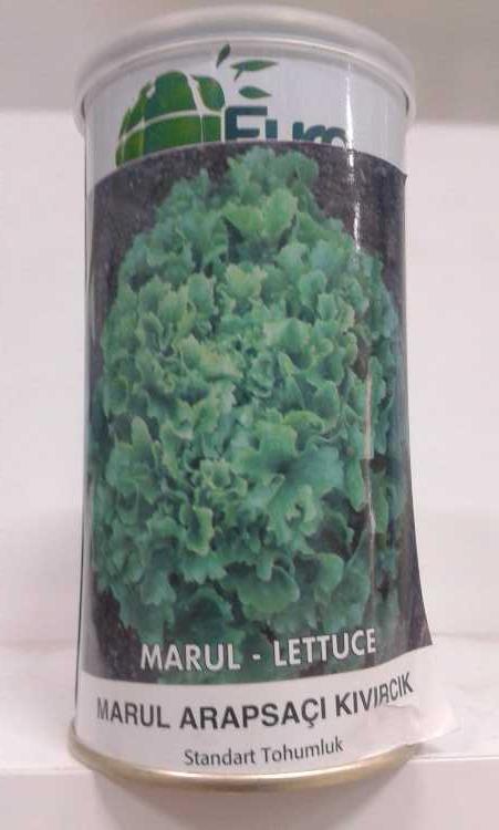 marul arapsaçı tohumu 100gr