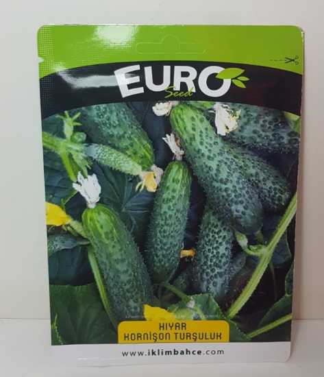 HIYAR KORNİŞON TURŞULUK