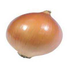 1180 SOĞAN -VALENCİANA- 1PAKET