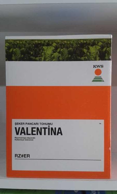 VALENTİNA.jpg