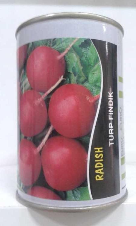 fındık turp  tohumu